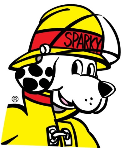 sparkyheadshot